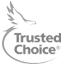 Trusted Choice Agency